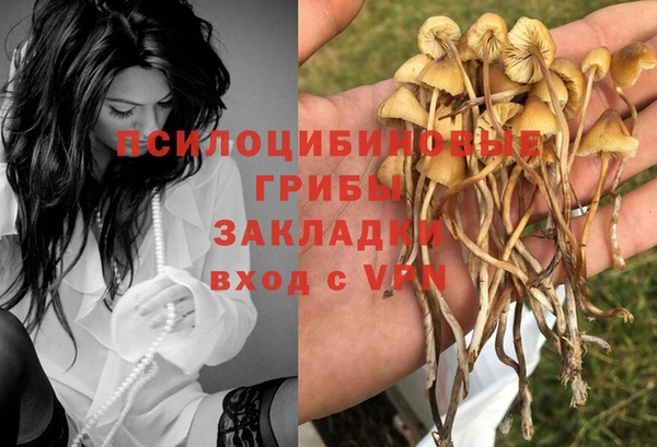 каннабис Заводоуковск